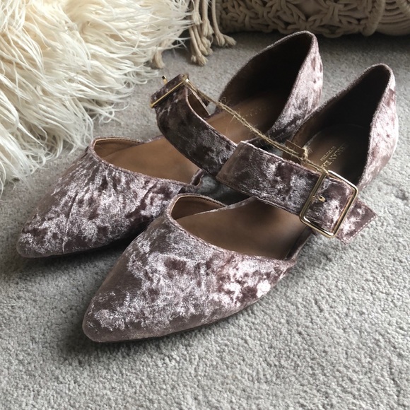 American Eagle Outfitters Shoes - American Eagle Outfitters Velvet Flats in Mauve